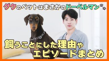 【BTS日本語字幕】グクが飼っているドーベルマンが可愛すぎる！飼うことにした理由やエピソードが意外だった件！どことなく顔似てる？w【ピックアップ動画】