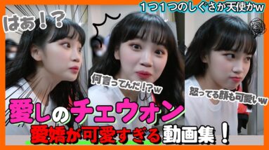 【IZONEチェウォン】愛嬌顔芸の三段活用が可愛くてしょうがない！しぐさやメンバーとの絡みにニヤニヤしちゃう。愛しのチェウォン動画集！【ピックアップ動画】