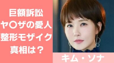 【キム・ソナ】トラブル続き女優？詳細を徹底検証！