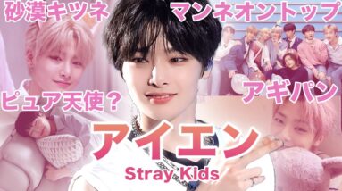【最強マンネ】Stray Kids”アイエン”のおもしろエピソード50連発！！！