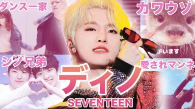 【愛されクールマンネ】SEVENTEEN”ディノ”のおもしろエピソード50連発！！！